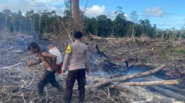 Personel Polsek Dabo Singkep datangi Tkp Kebakaran dan berhasil memadamkan api yang membakar lahan perkebunan kelapa seluas sekitar 9 Hektar di Kampung Sungai Langkap, Desa Marok Kecil, Kecamatan Singkep Selatan, sekitar pukul 16.30 WIB. Api yang membakar lahan perkebunan kelapa dengan cepat menyebabkan kepulan asap tebal yang menjulang tinggi, Kamis (27/2/2025) sore. Foto: INIKEPRI.COM