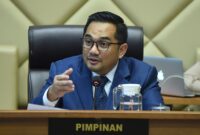 Ketua Komisi II DPR RI, Rifqinizamy Karsayuda. Foto: Istimewa 