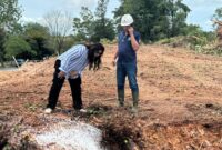 Anggota/Deputi Bidang Pelayanan Umum BP Batam, Ariastuty Sirait. Foto: INIKEPRI.COM/BP Batam 