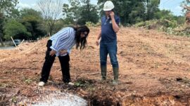 Anggota/Deputi Bidang Pelayanan Umum BP Batam, Ariastuty Sirait. Foto: INIKEPRI.COM/BP Batam 