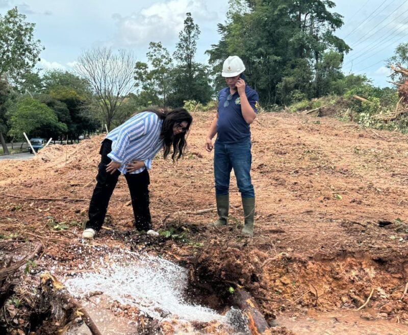 Anggota/Deputi Bidang Pelayanan Umum BP Batam, Ariastuty Sirait. Foto: INIKEPRI.COM/BP Batam