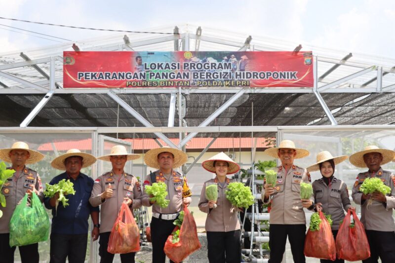 Kepolisian Resor Bintan menggelar panen raya sayur mayur hidroponik di lahan Polres Bintan yang berlokasi di dalam Mako Polres Bintan, Selasa (29/4/2025). Foto: INIKEPRI.COM