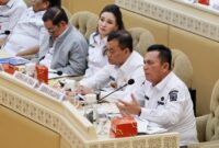 Gubernur Kepri Ansar Ahmad saat RDP dengan DPR RI. Foto: INIKEPRI.COM/Diskominfo Kepri