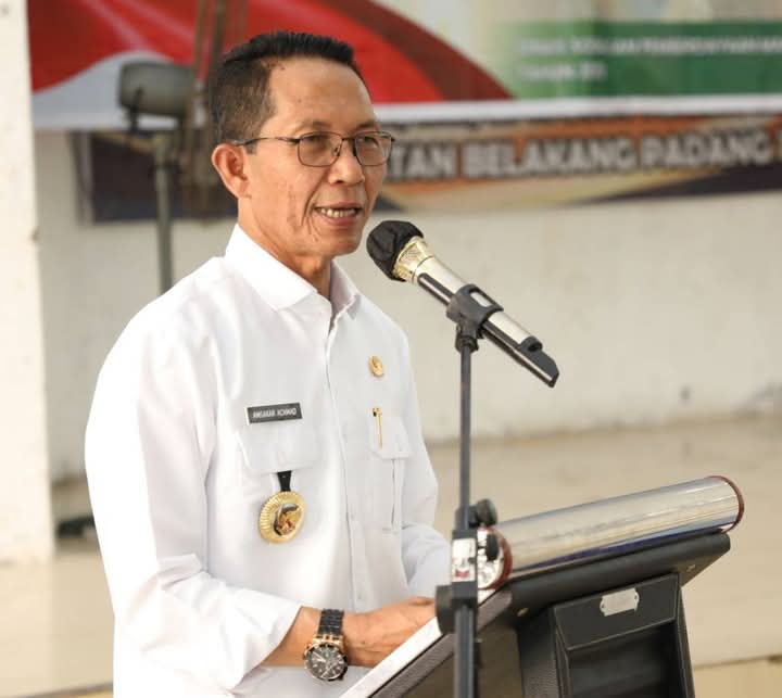 Wali Kota Batam sekaligus Ex Officio Kepala BP Batam Amsakar Achmad. Foto: INIKEPRI.COM