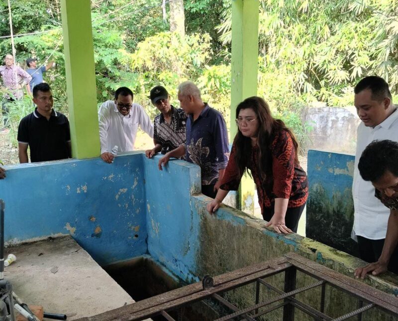 BP Batam melalui Anggota Bidang Pelayanan Umum, Ariastuty Sirait melakukan peninjauan distribusi air bersih di Kampung Tua Piayu Laut, pada Rabu (7/5/2025). Foto: INIKEPRI.COM/BP Batam 