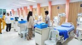 Anggota/Deputi Bidang Pelayanan Umum Badan Pengusahaan (BP) Batam, Ariastuty Sirait meninjau pelayanan di RSBP Batam dan kondisi lapangan di Kawasan Agribisnis Sei Temiang pada Kamis (15/5/2025). Foto: INIKEPRI.COM/BP Batam 