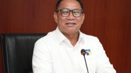 Deputi Bidang Investasi dan Pengusahaan BP Batam, Fary Djemy Francis. Foto: INIKEPRI.COM/BP Batam 
