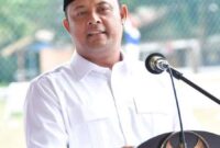 Ketua DPRD Kepri Iman Sutiawan. Foto: Istimewa 