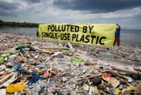 Ilustrasi. Foto: Istimewa 