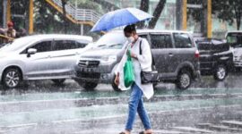 Ilustrasi. Foto: Istimewa 