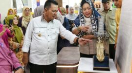 Titiek sebagai Ketua Komisi IV DPR RI melakukan kunjungan kerja di Kota Tanjungpinang dan Kabupaten Bintan. Foto: INIKEPRI.COM/KepriProv 