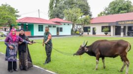 Dalam rangka mempererat tali silaturahmi antara Tim Penggerak PKK Kota Batam dan Persit Kartika Chandra Kirana, Ketua TP-PKK Kota Batam, Hj. Erlita Amsakar menyerahkan satu ekor sapi kurban kepada Persit KCK CAB LXIX DIM 0316 REM 033 PD I/BB, yang diterima langsung oleh Ketua Persit, Ratih Yan Eka Putra. Foto: INIKEPRI.COM