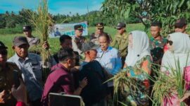 Bupati Natuna, Cen Sui Lan, bersama Wakil Bupati Jarmin dan Ketua DPRD Natuna, Rusdi, menghadiri kegiatan panen raya yang berlangsung meriah di Desa Payak, Kecamatan Serasan Timur. Foto: INIKEPRI.COM