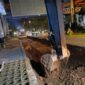 Badan Pengusahaan Batam (BP Batam) saat ini tengah melakukan pengerjaan perbaikan jalan di bawah JPO SP Plaza, Jl Letjen Suprapto, Sagulung. Foto: INIKEPRI.COM/BP Batam 