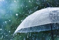 Ilustrasi. Foto: Istimewa 