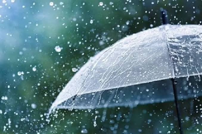 Ilustrasi. Foto: Istimewa