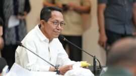 Kepala BP Batam Amsakar Achmad. Foto: Istimewa 
