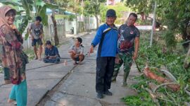 Respons cepat ditunjukkan oleh Plt Lurah Tanjung Sari, Nurasikin, bersama unsur pimpinan kecamatan (Uspika) dalam menindaklanjuti laporan warga terkait pohon besar yang dinilai rawan tumbang di sekitar area KUA Jalan Tanjung.  Foto: INIKEPRI.COM