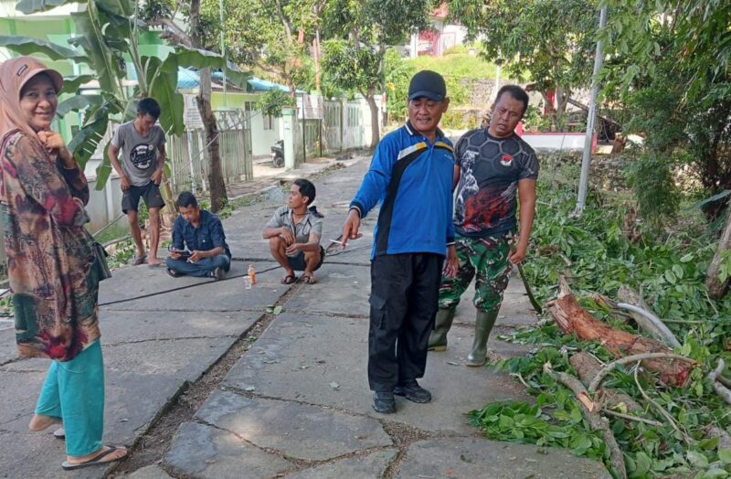 Respons cepat ditunjukkan oleh Plt Lurah Tanjung Sari, Nurasikin, bersama unsur pimpinan kecamatan (Uspika) dalam menindaklanjuti laporan warga terkait pohon besar yang dinilai rawan tumbang di sekitar area KUA Jalan Tanjung.  Foto: INIKEPRI.COM