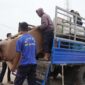 BP Batam kembali memfasilitasi pergeseran dua Kepala Keluarga (KK) terdampak pengembangan Rempang Eco-City ke rumah baru Tanjung Banon secara bertahap dan humanis, Selasa (15/7/2025). Foto: INIKEPRI.COM/BP Batam 