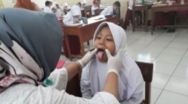 Ilustrasi. Foto: Istimewa 