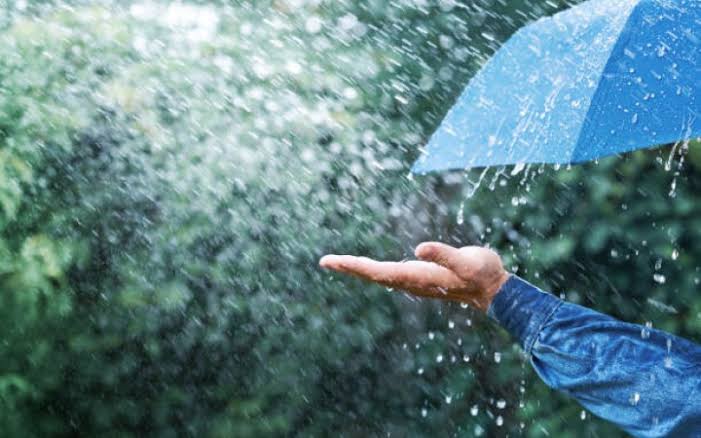 Ilustrasi. Foto: Istimewa 