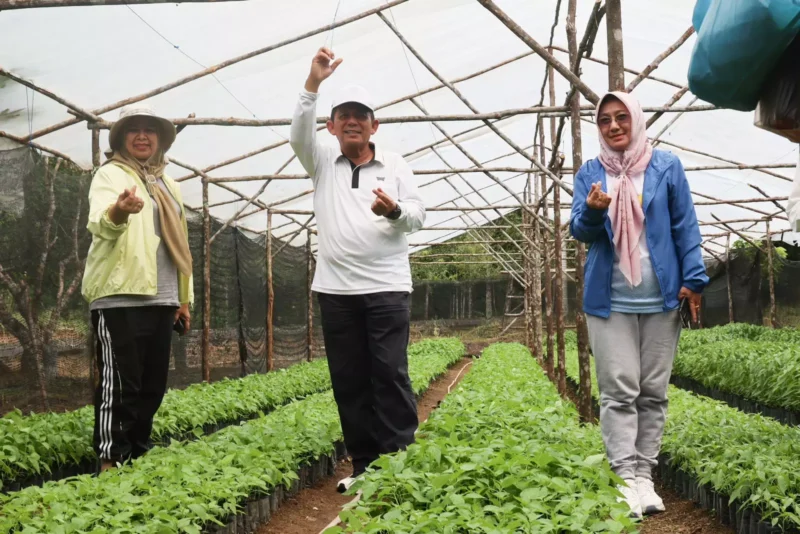 Gubernur Ansar, Ketua TPP PKK Dewi Kumalasari dan Kadis Pertanian dan Ketahanan Pangan Kepri Rika Azmi di antara bibit cabai yang akan dibagikan kepada masyarakat. Foto: INIKEPRI.COM/Diskominfo Kepri