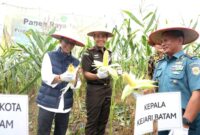 Wali Kota Batam Amsakar Achmad hadir panen jagung. Foto: INIKEPRI.COM