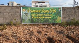 Polsek Bengkong menggelar aksi nyata mendukung program ketahanan pangan nasional melalui kegiatan penggemburan dan pembuatan bedeng di lahan seluas ±5.000 meter persegi di Kelurahan Tanjung Buntung, Kecamatan Bengkong, Kota Batam, Kamis (7/8/2025). Foto: INIKEPRI.COM
