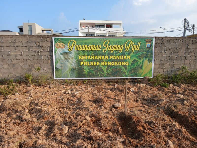 Polsek Bengkong menggelar aksi nyata mendukung program ketahanan pangan nasional melalui kegiatan penggemburan dan pembuatan bedeng di lahan seluas ±5.000 meter persegi di Kelurahan Tanjung Buntung, Kecamatan Bengkong, Kota Batam, Kamis (7/8/2025). Foto: INIKEPRI.COM