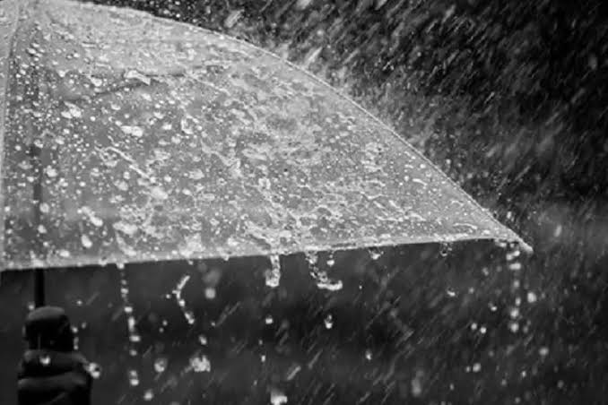 Ilustrasi. Foto: Istimewa 