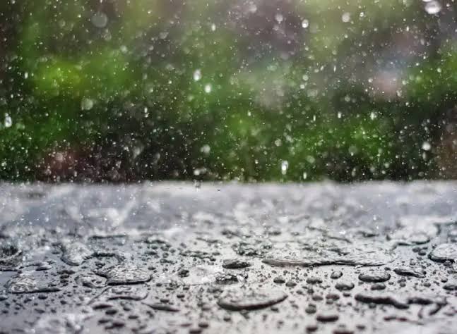 Ilustrasi. Foto: Istimewa