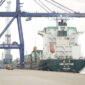 Ilustrasi. Foto: BP Batam 