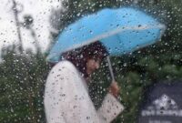 Ilustrasi. Foto: Istimewa