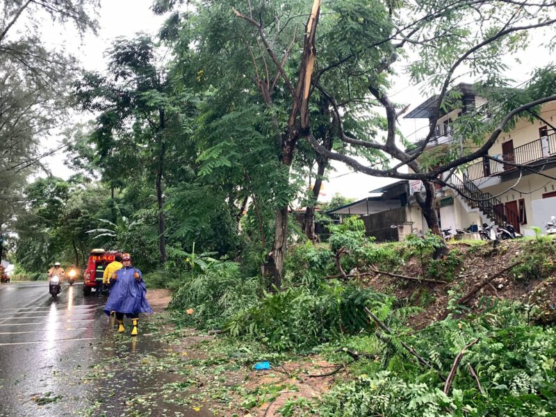 Pohon tumbang akibat cuaca ekstrem di Batam. Foto: INIKEPRI.COM/Media Center Batam 