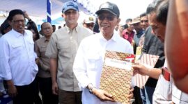 Wali Kota Batam Amsakar Achmad saat menyerahkan sertifikat beberapa waktu lalu. Foto: INIKEPRI.COM