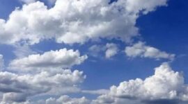 Ilustrasi. Foto: Istimewa 