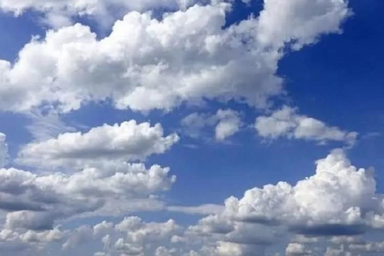 Ilustrasi. Foto: Istimewa 