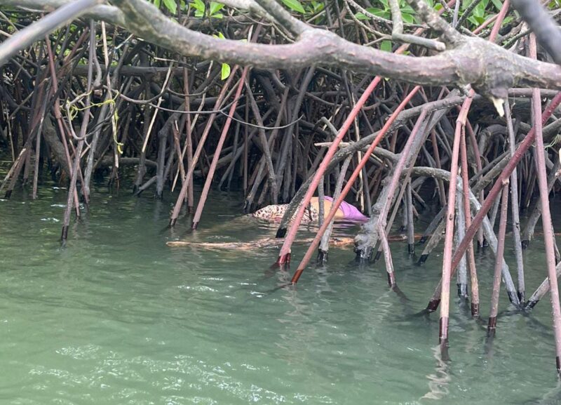 Penemuan mayat di teluk bakau. Foto: INIKEPRI.COM
