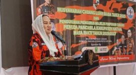 Bupati Natuna Cen Sui Lan saat menyampaikan pidato. Foto: Istimewa 