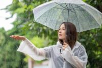 Ilustrasi. Foto: Pixabay