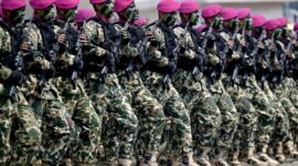 Ilustrasi. Foto: Istimewa 