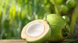 Buah Kelapa. Foto: Istimewa 