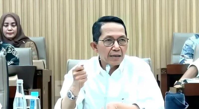 Amsakar Achmad saat RDP di DPR RI. Foto: Tangkapan Layar 