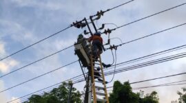 Petugas PLN Batam memperbaiki jaringan listrik. Foto: INIKEPRI.COM/PLN Batam 