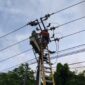 Petugas PLN Batam memperbaiki jaringan listrik. Foto: INIKEPRI.COM/PLN Batam 