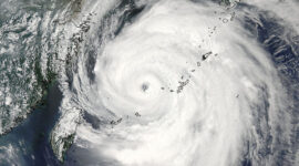 Ilustrasi. Foto: Istimewa 