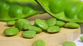 Petai. Foto: Istimewa 