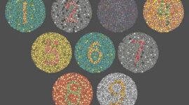 Ilustrasi. Foto: Istimewa 