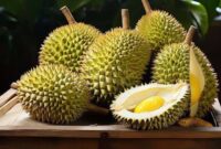 Buah Durian. Foto: Istimewa 